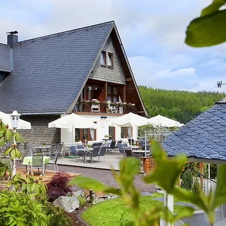 Wald Hotel Willingen-3