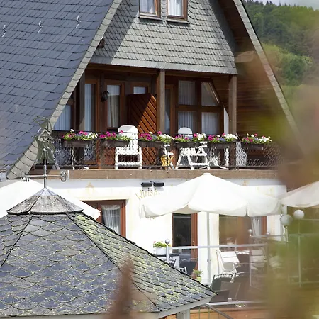 Wald Hotel Willingen-2