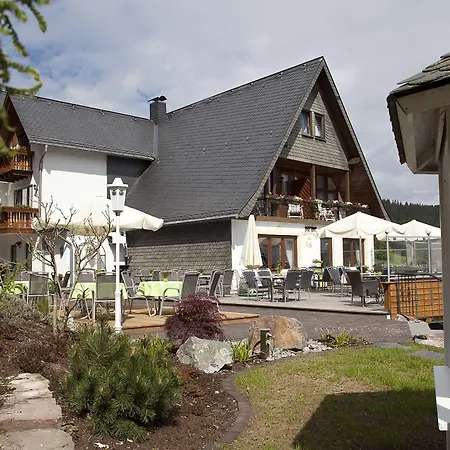 Wald Hotel Willingen-2