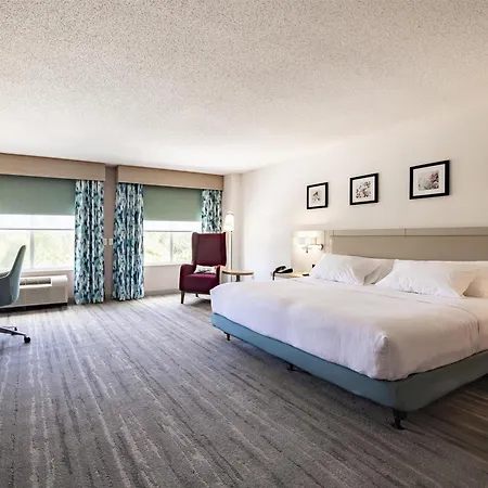 Hilton Garden Inn Albany-3