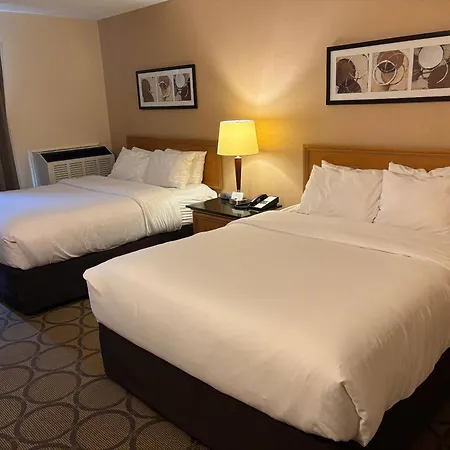 Comfort Inn Riviere-Du-Loup-3