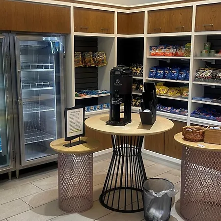 Holiday Inn Atlanta-Gas South Arena Area By Ihg-2