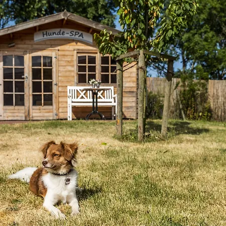 Hotel Pharisäerhof - DAS Hundehotel auf Nordstrand mit Restaurant und Café-3