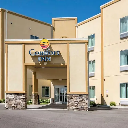 Comfort Inn Apalachin - Binghamton W Route 17-3