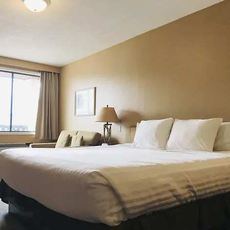 Thunderbird Motor Inn-2