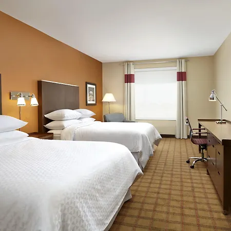Four Points By Sheraton Edmonton International Airport-2