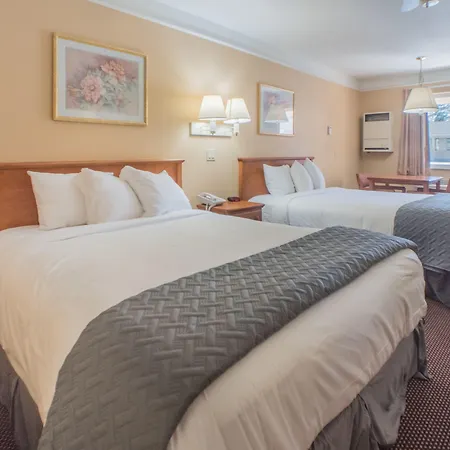 Shasta Pines Motel & Suites-2