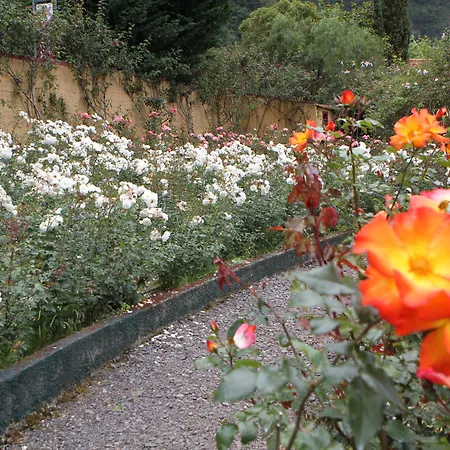 Pestana Quinta Do Arco Nature & Rose Garden Hotel-2