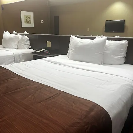 Microtel Inn & Suites By Wyndham Kenedy Karnes City-3