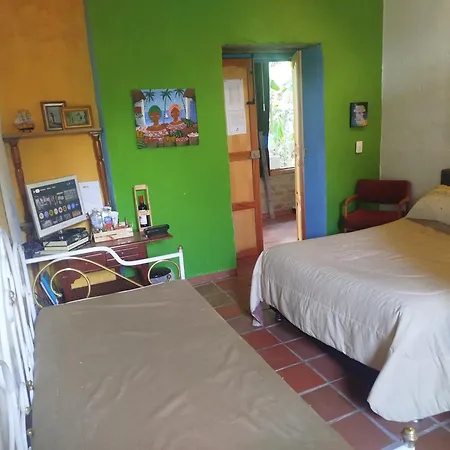 Hostal Casa De Guadua/ The Bamboo House-2