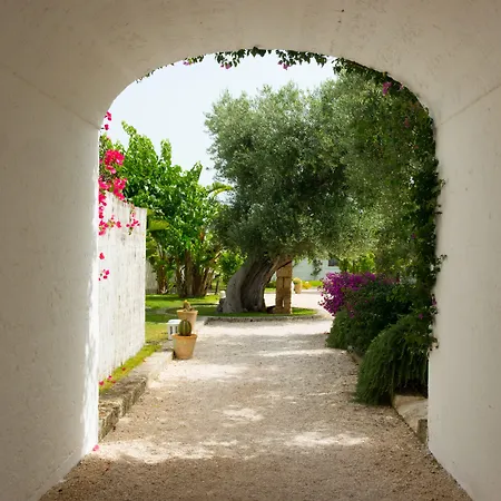 Masseria Torre Coccaro-3