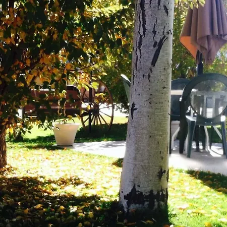 Redwood Motel-3