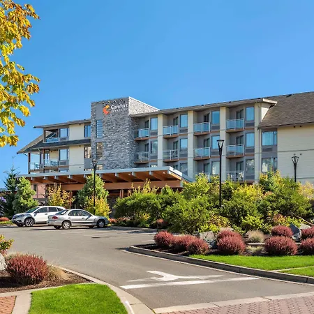 Comfort Inn & Suites-2