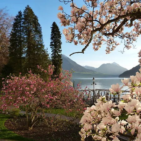 Hotel Vitznauerhof - Lifestyle Hideaway At Lake Lucerne-2