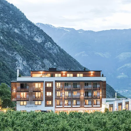 Hotel Burgaunerhof-2
