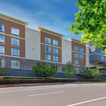 Homewood Suites By Hilton Atlanta Perimeter Center-3