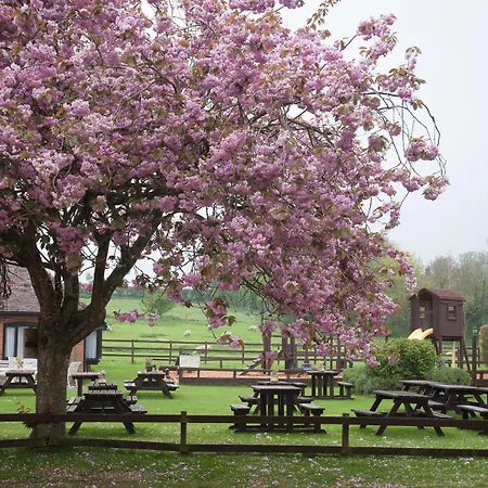 The Langton Arms-2