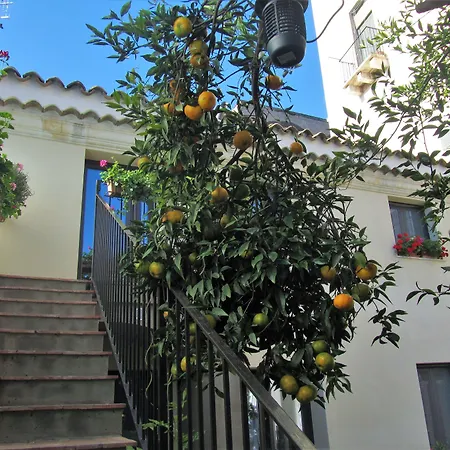B&B - ComeinSicily CortedeiLimoni - Charming&Rel-3