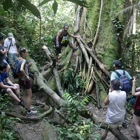 Indra Valley Inn Bukit Lawang-3