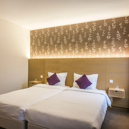 Hotel Bon Repos-2