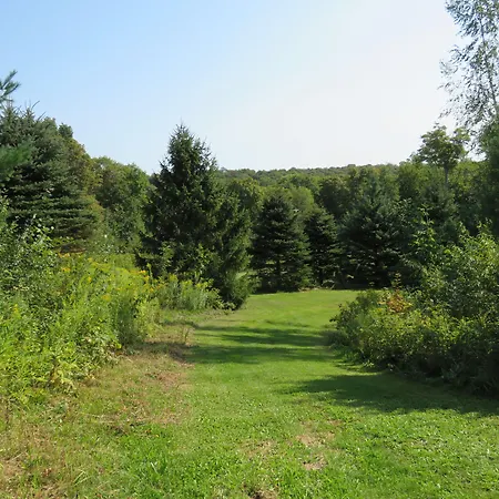 Tug Hill Resort-2