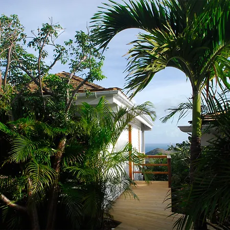 Gyp Sea Saint Barth-2