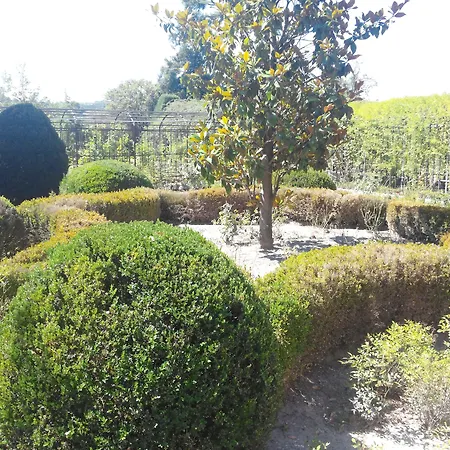 Il Castello di Bubbio-2