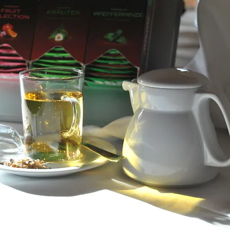 Hotel Ambiente-3