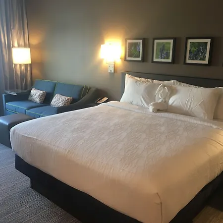 Hilton Garden Inn Austin Airport-2