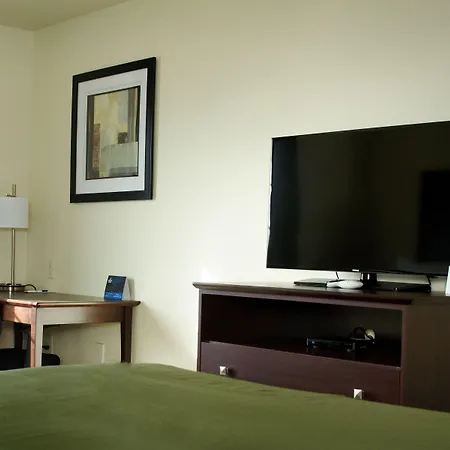 Cobblestone Inn & Suites - Soda Springs-3