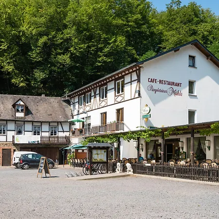 Landhotel Ringelsteiner Mühle-2