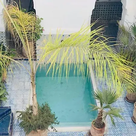 Riad Ifoulki-3