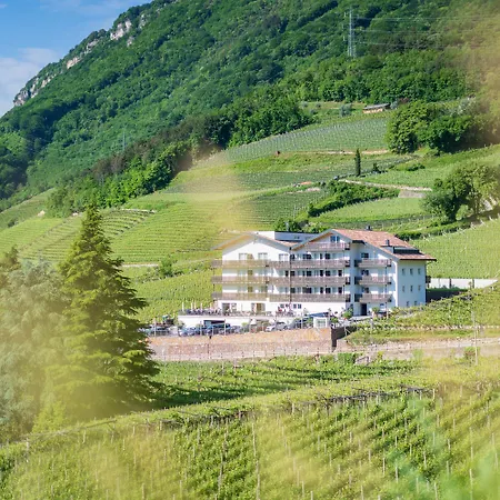 Residence Garni Hotel Vineus-3