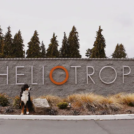 Heliotrope Hotel-3