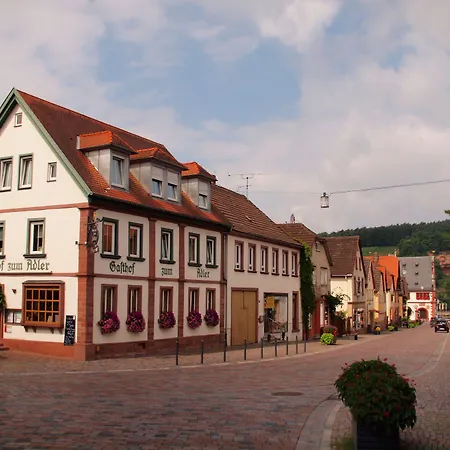 Adler Landhotel-2