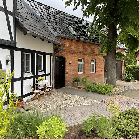 Hotel Luther Birke Wittenberg-3