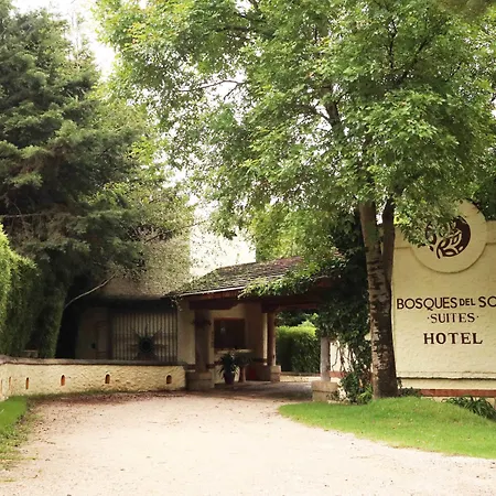 Hotel Bosques del Sol Suites-3