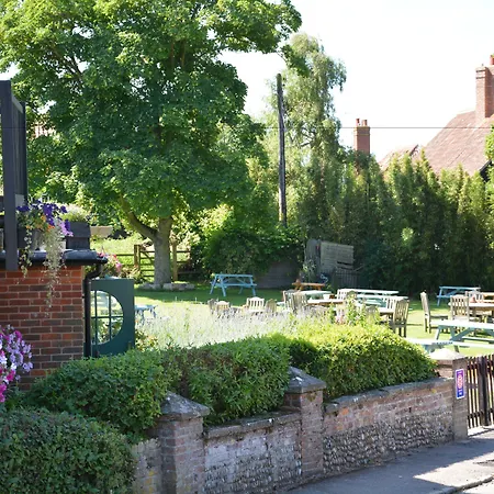 The Dolphin Inn-3