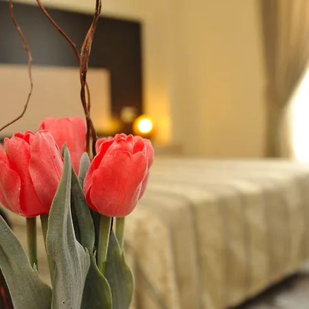 Hotel Gabbiano-2