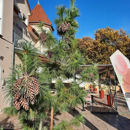 Hotel Karl's Burg-3