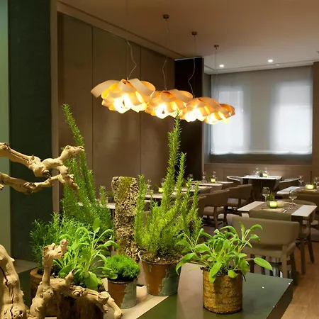Starhotels Echo-2