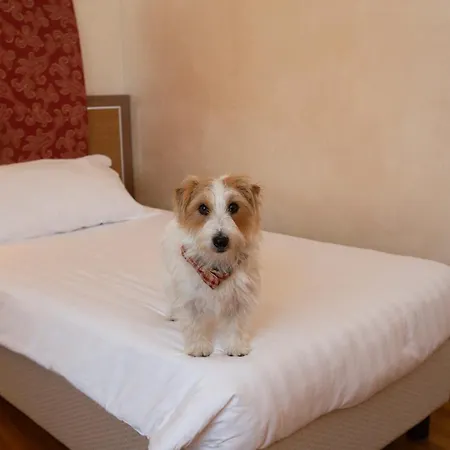 Poli Hotel-2