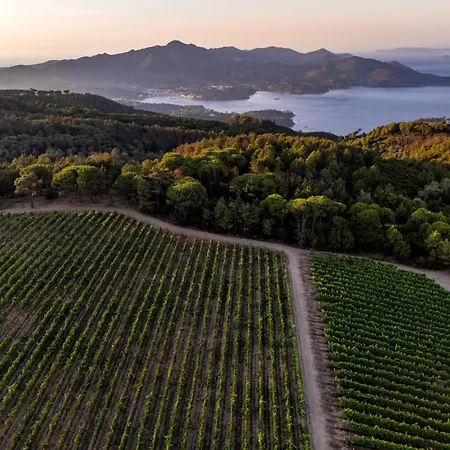 Tenuta Delle Ripalte-2