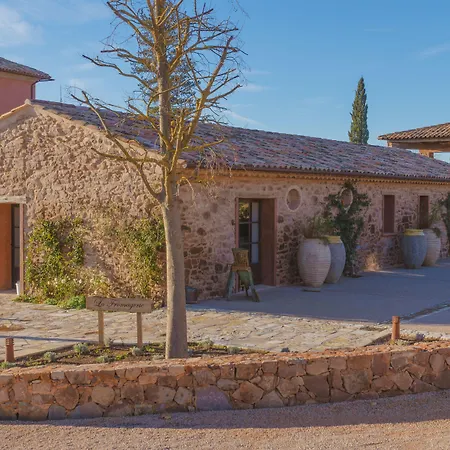 Château Saint Roux Le Luc-Le Cannet des Maures-3