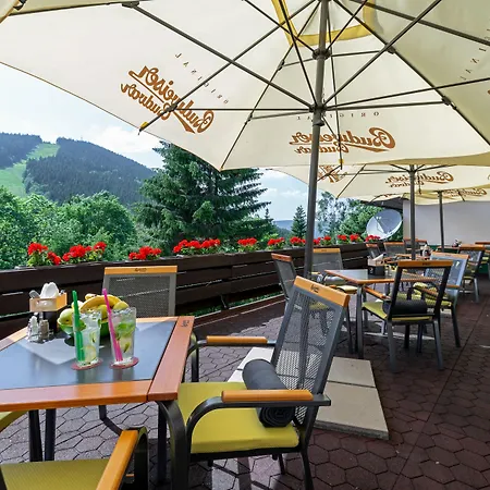 Parkhotel Harrachov-3
