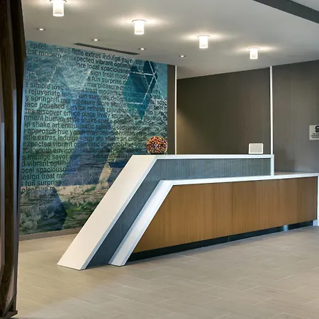 Springhill Suites By Marriott Tampa Suncoast Parkway-2