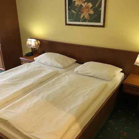 Brandiser Parkhotel-3