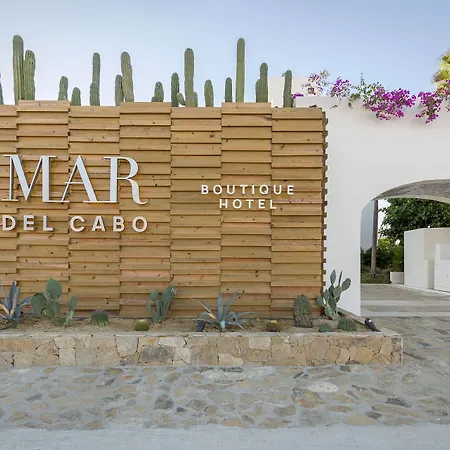Mar del Cabo By Velas Resorts-2