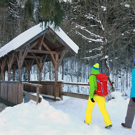 Gasthof Fallmühle-3