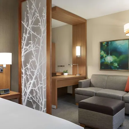 Hyatt Place Virginia Beach Town Center-2